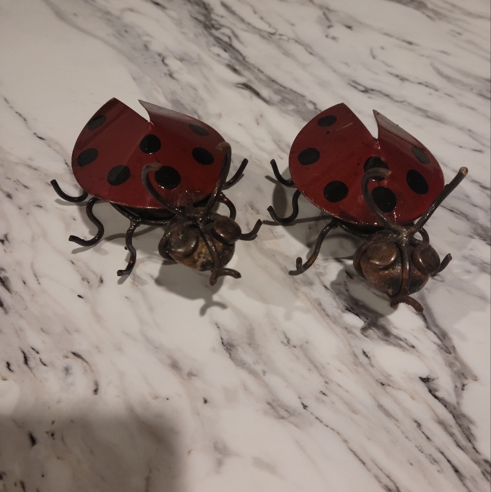 2 New Ladybugs